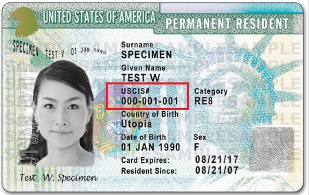 Alien registration number on green card