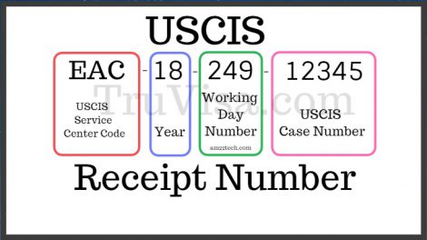 USCIS Receipt number status i797 notice